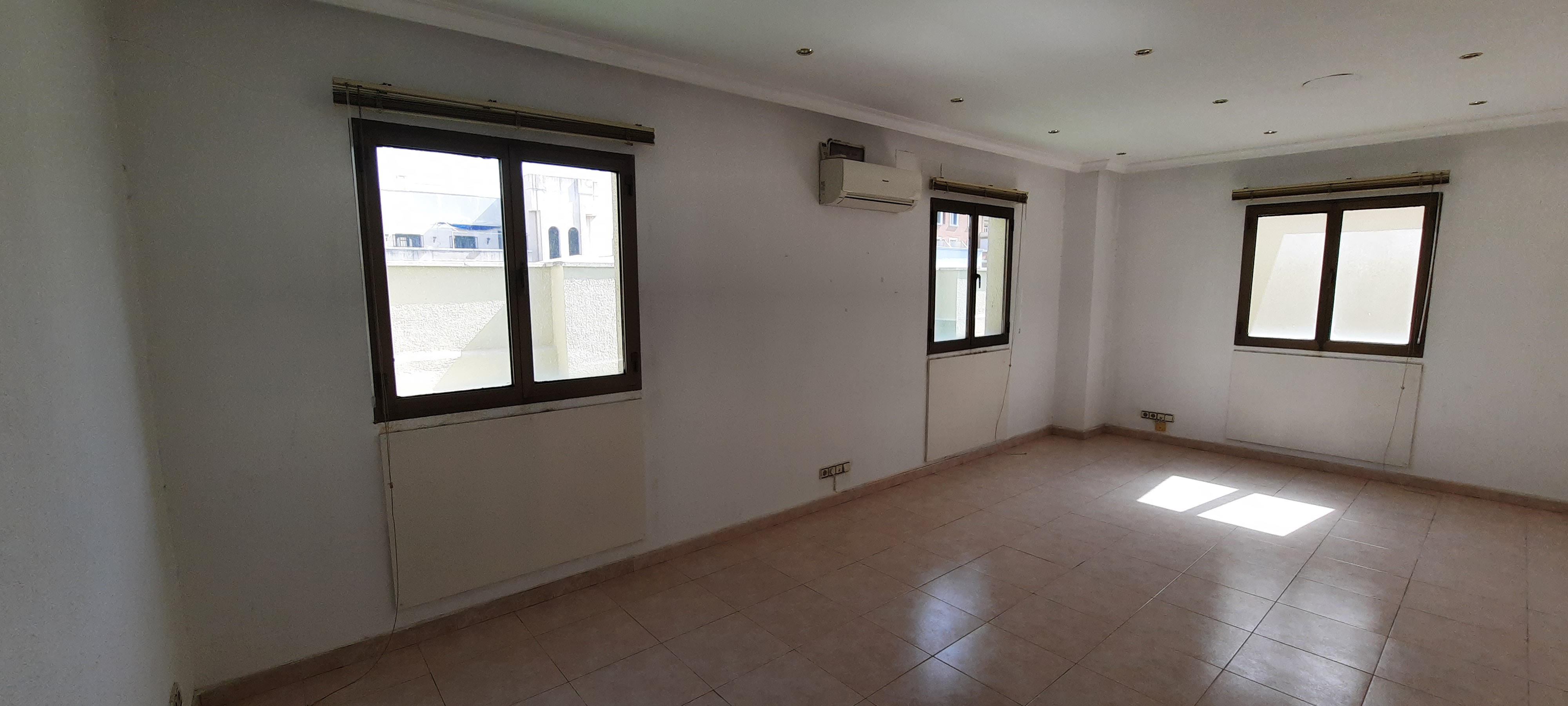 20220328_123007 1.jpg